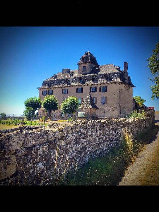 Chateau De Cours Senezergues Екстер'єр фото